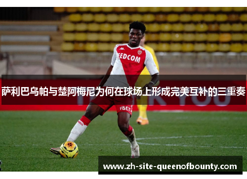 萨利巴乌帕与楚阿梅尼为何在球场上形成完美互补的三重奏