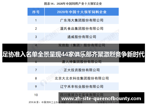 足协准入名单全景呈现44家俱乐部齐聚激烈竞争新时代