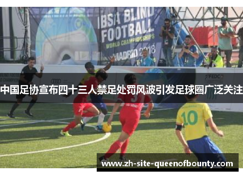 中国足协宣布四十三人禁足处罚风波引发足球圈广泛关注