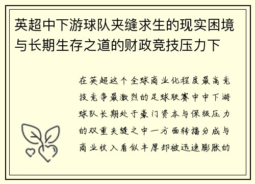 英超中下游球队夹缝求生的现实困境与长期生存之道的财政竞技压力下